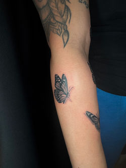 BUTTERFLIES