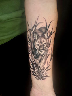 FLORIDA PANTHER