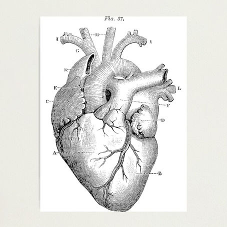 Katerina Neocleous: a poem