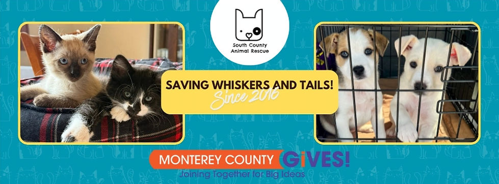 MCGIVES 1_edited.jpg