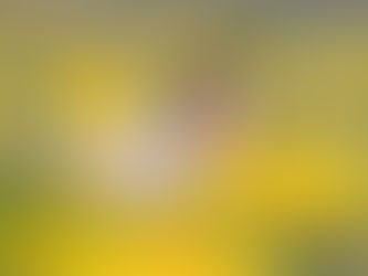 臨時休業のご案内