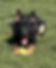 K9 Bullet MorganCSO2a.jpeg