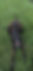 K9 Tazz Belvidere PD 1.jpg