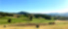 IMG-20221204-WA0016_edited.jpg
