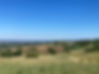 IMG-20221204-WA0011.jpg