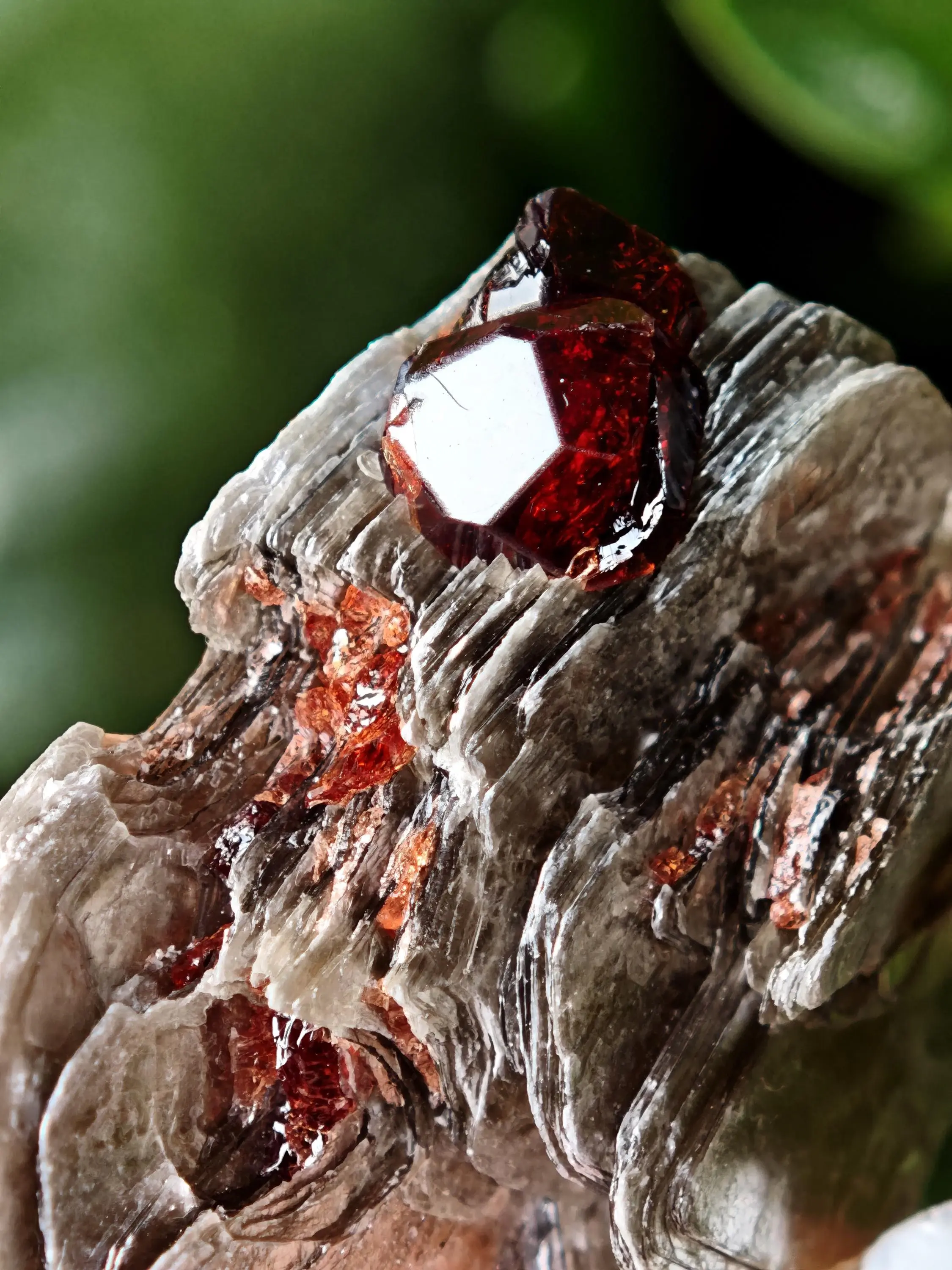 Spessartine Garnet on Muscovite ~ Skardu, Pakistan