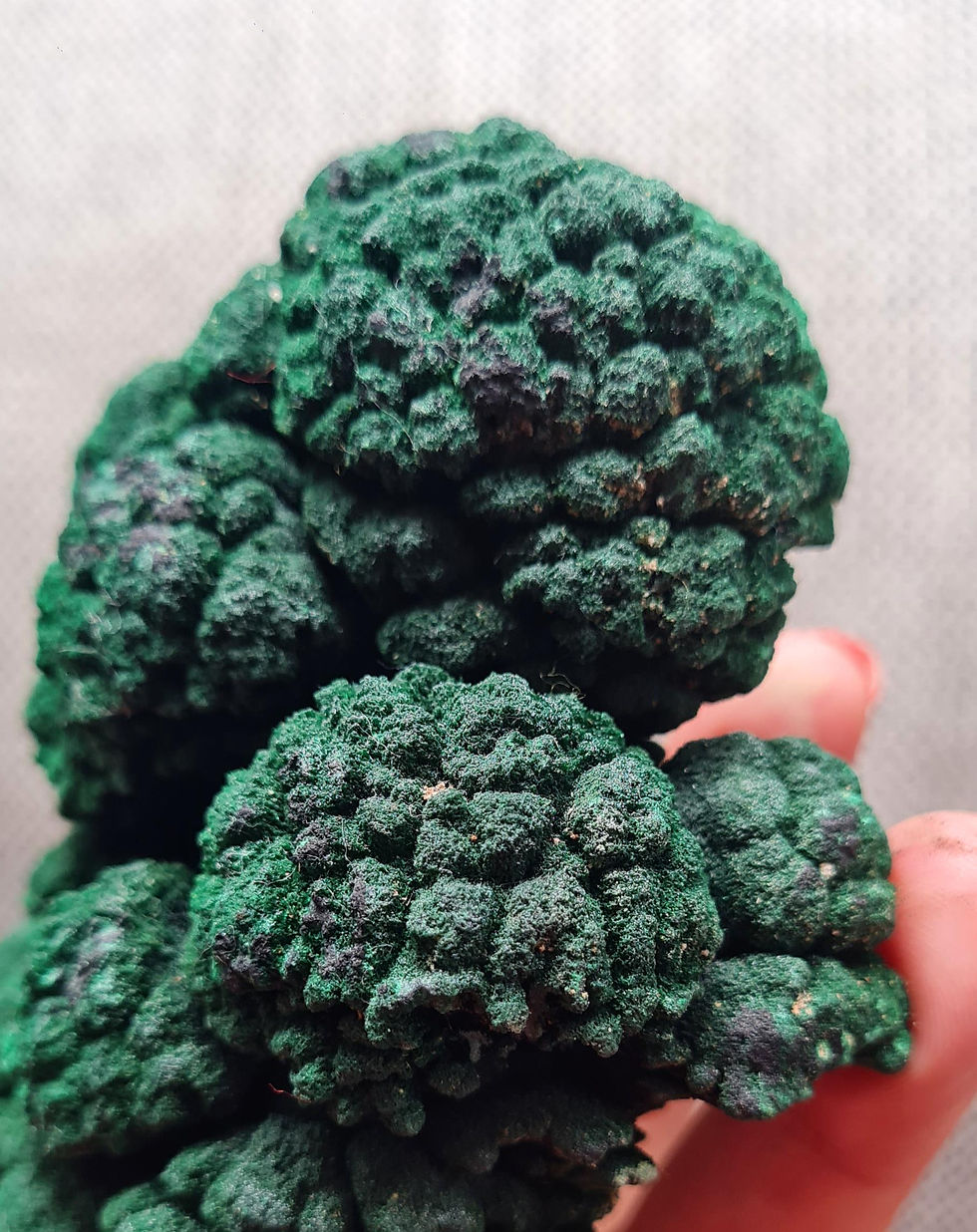 Thumbnail: Malachite ~ Calabi, Congo