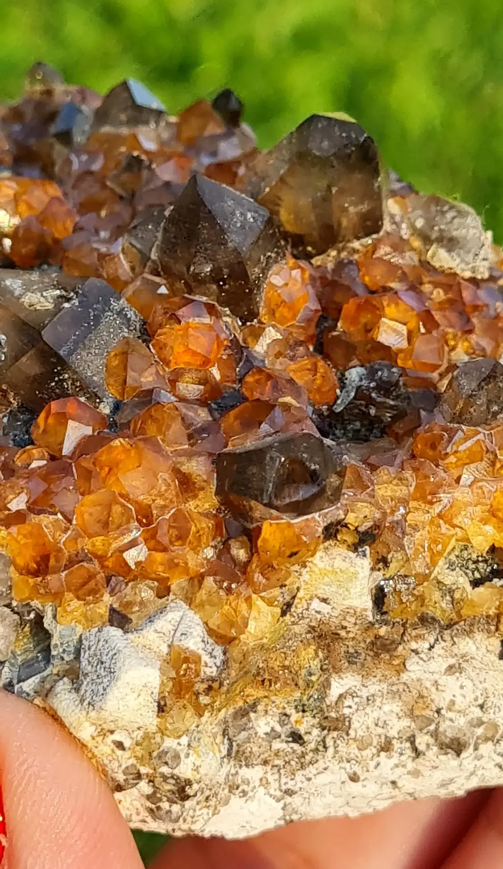 Thumbnail: Spessartine Garnet and Smoky Quartz Crystals ~ Wushan Spessartine Mine, China