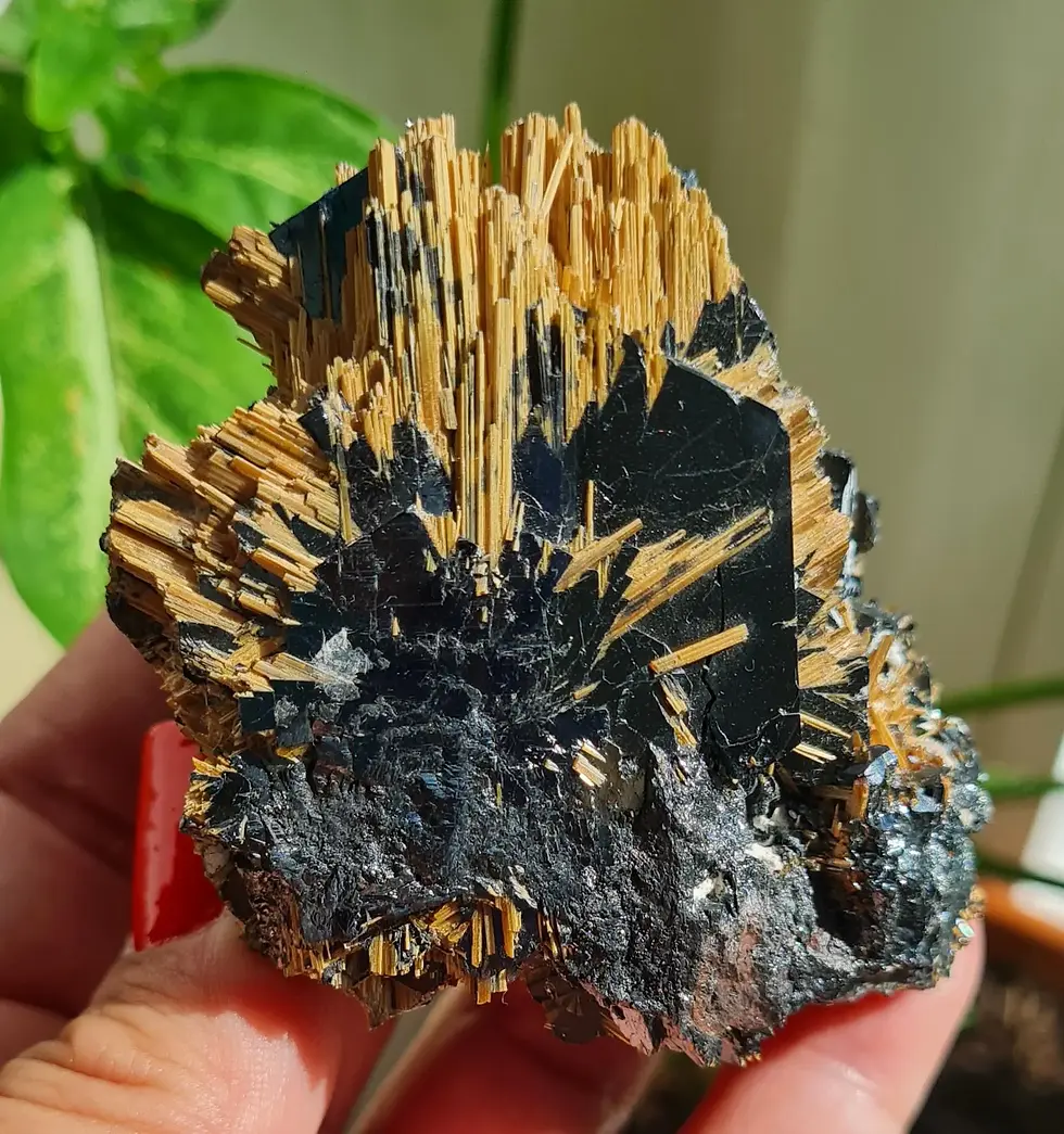 Thumbnail: Rutile on Hematite ~ Novo Horizonte, Bahia, Brasil