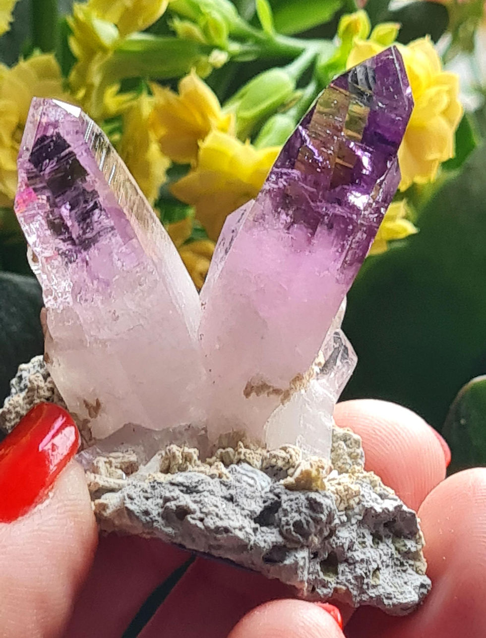 Thumbnail: Amethyst ~ Las Vigas, Veracruz, Mexico