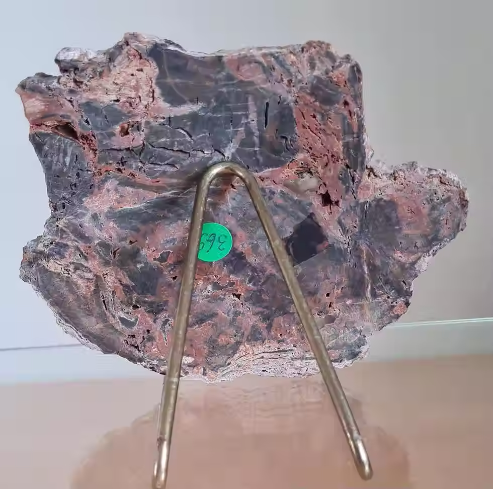 Thumbnail: Dadoxylon Pern with Agate ~ Bayern, Germany