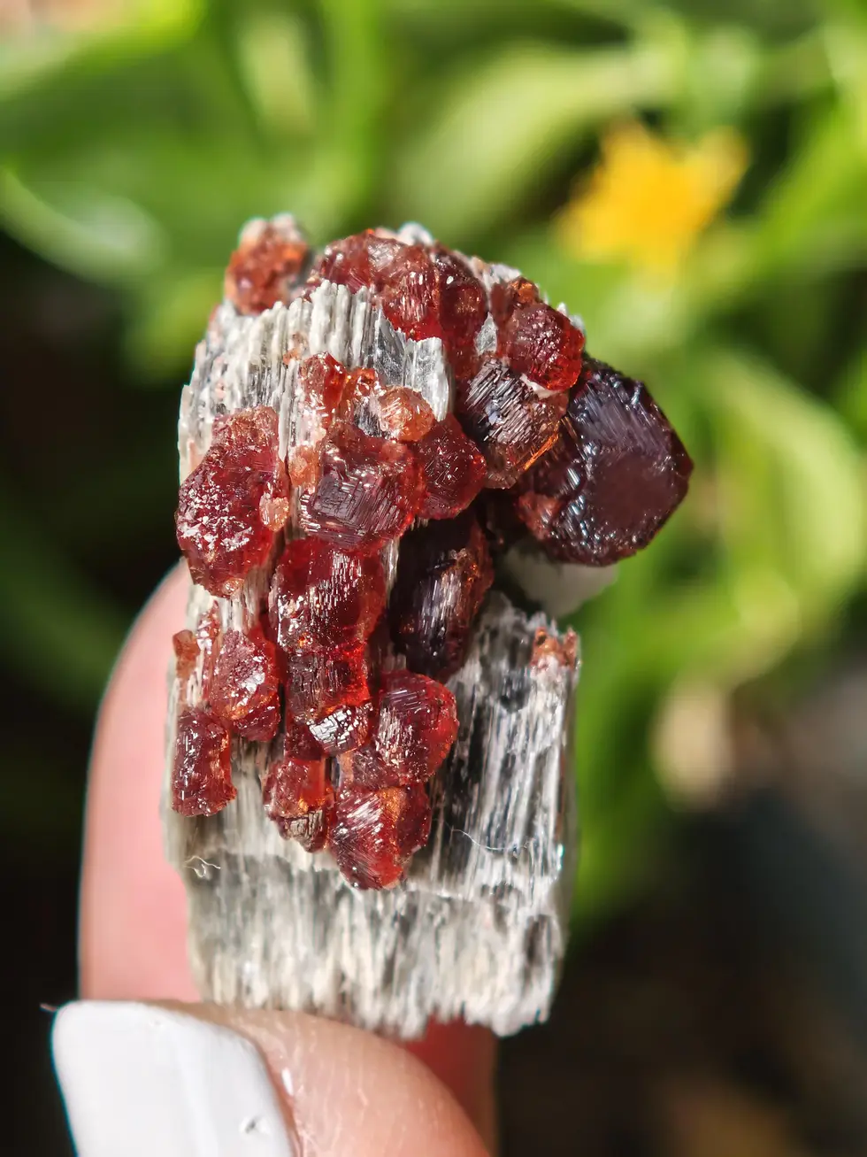 Thumbnail: Spessartine Garnet on Muscovite ~ Skardu, Pakistan