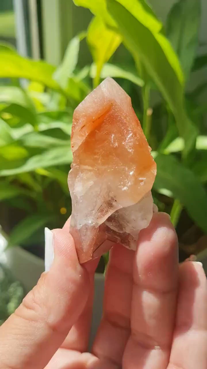 Thumbnail: Calcite ~ Chihuahua, Mexico