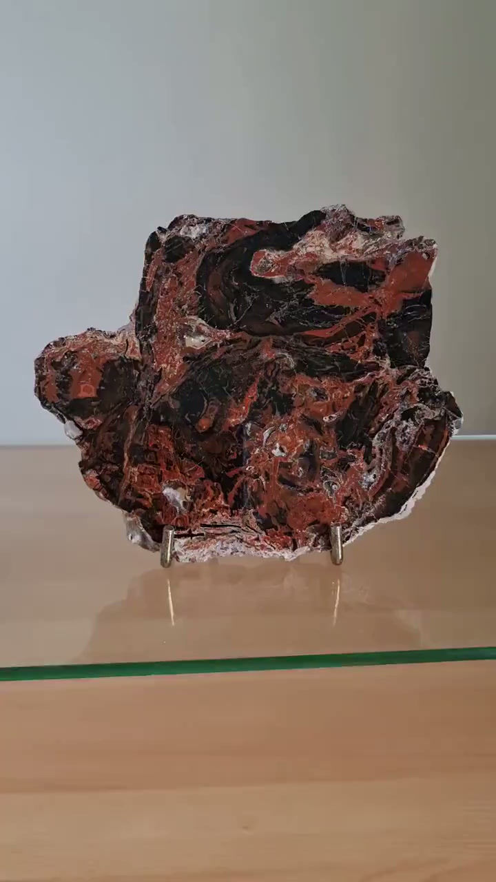 Thumbnail: Dadoxylon Pern with Agate ~ Bayern, Germany