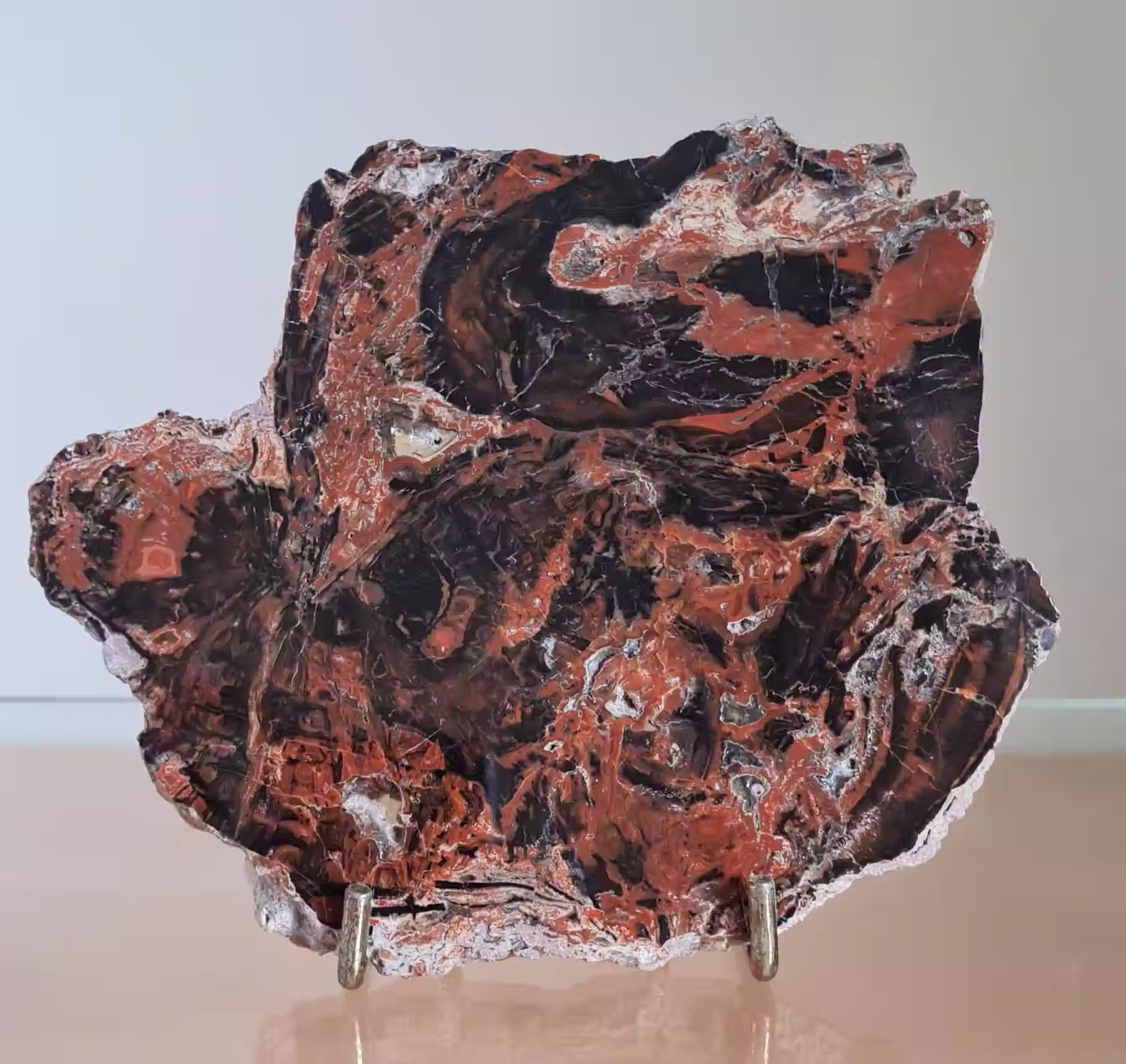 Dadoxylon Pern with Agate ~ Bayern, Germany