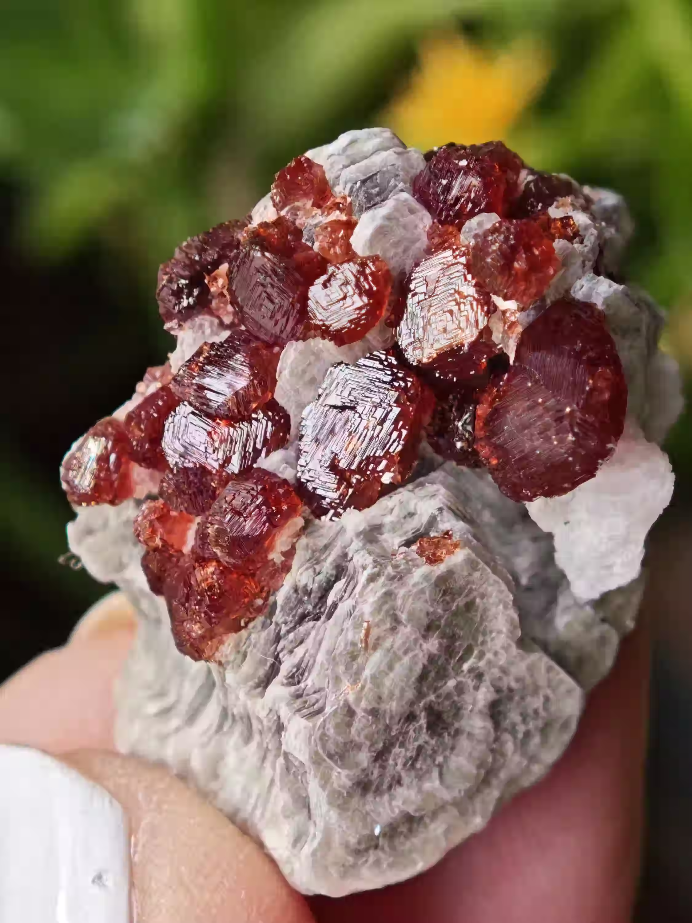 Spessartine Garnet on Muscovite ~ Skardu, Pakistan