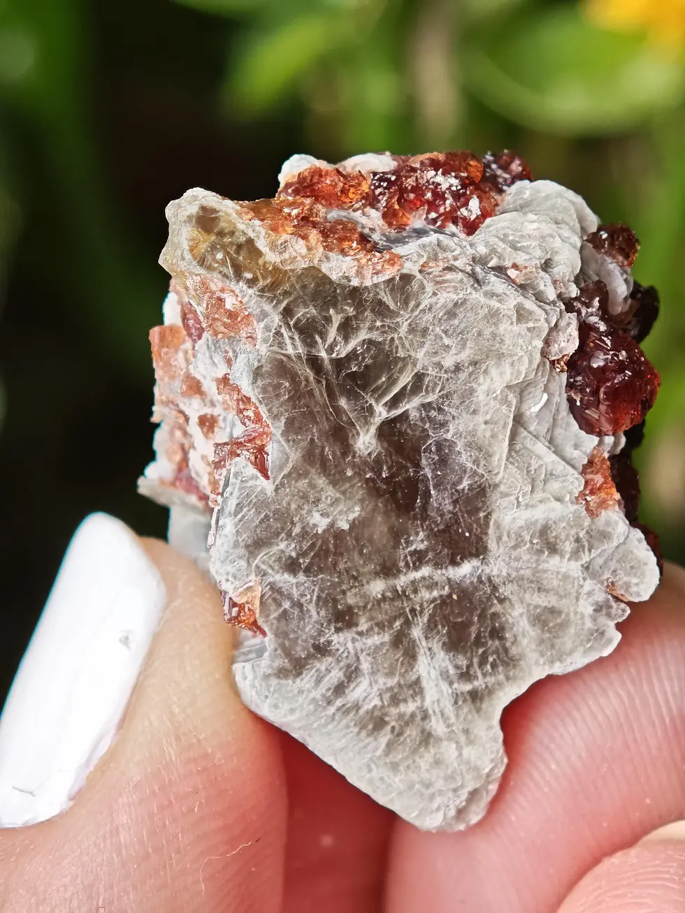 Thumbnail: Spessartine Garnet on Muscovite ~ Skardu, Pakistan