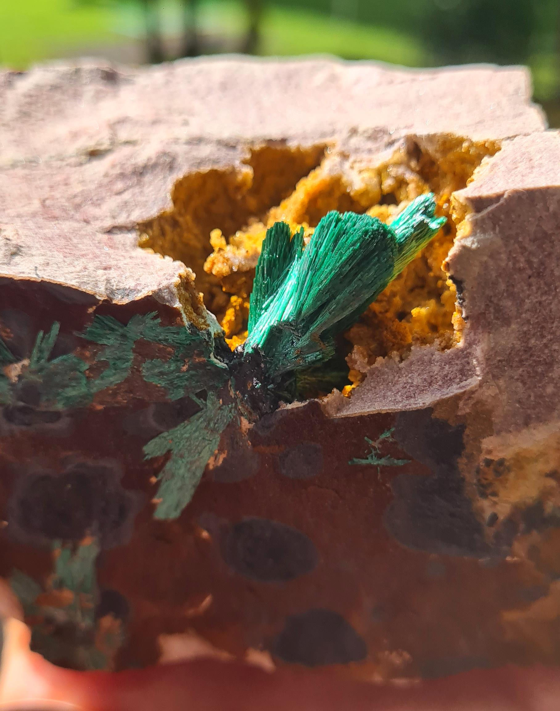 Malachite crystals in Matrix ~ Kerrouchen
