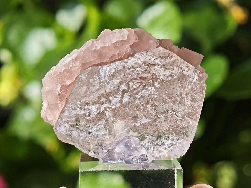 Thumbnail: Pink Fluorite on Quartz ~ Chamonix-Mont-Blanc, Rhône-Alpes, France