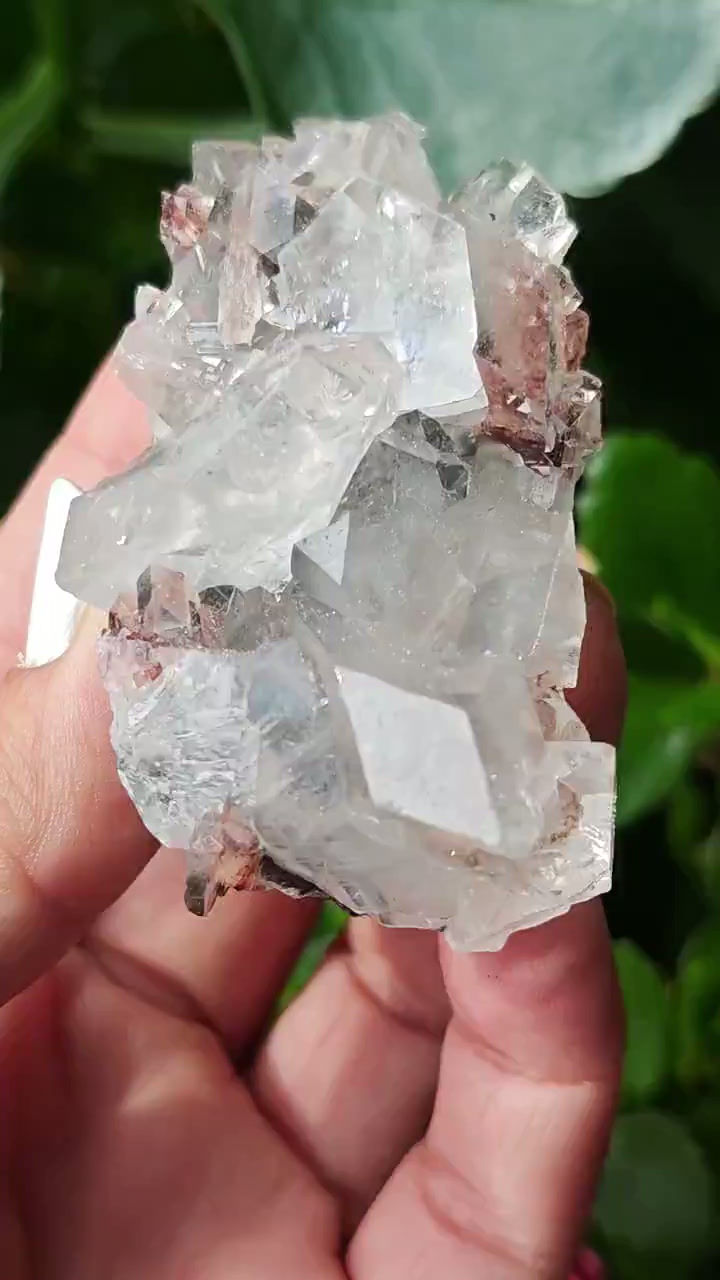 Thumbnail: Apophyllite ~ Maharashtra, India