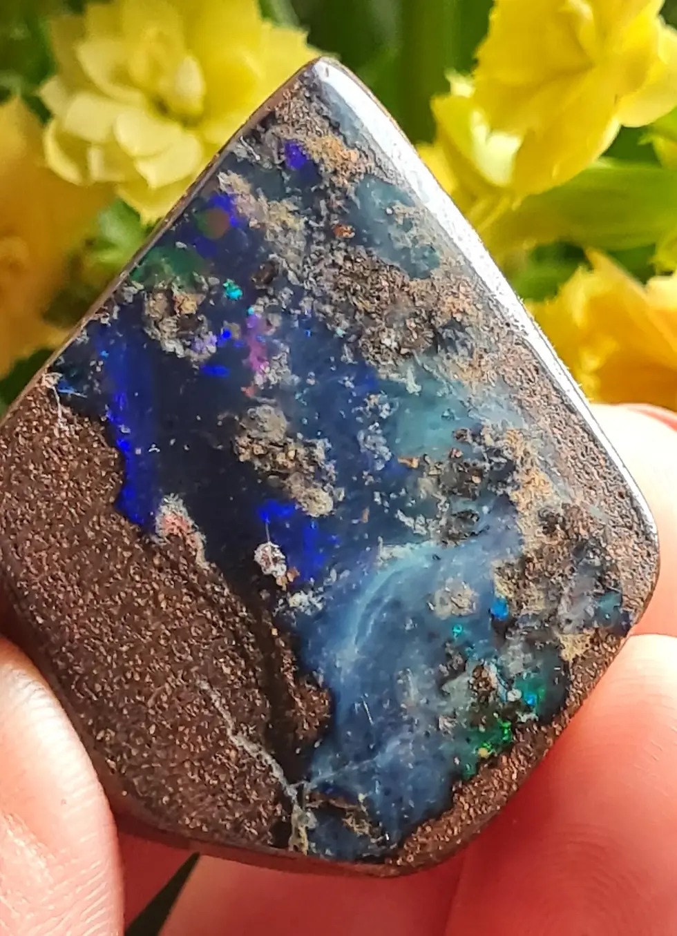 Thumbnail: Boulder Opal ~ Queensland, Australia.