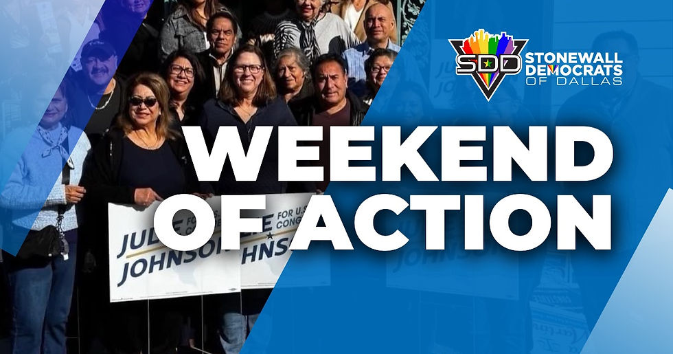 Stonewall Weekend of Action w/ Julie Johnson & Endorsed Candidates