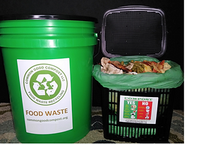 cgc bins side by side.png