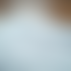 Understanding How Apostille Services Work and Their Use