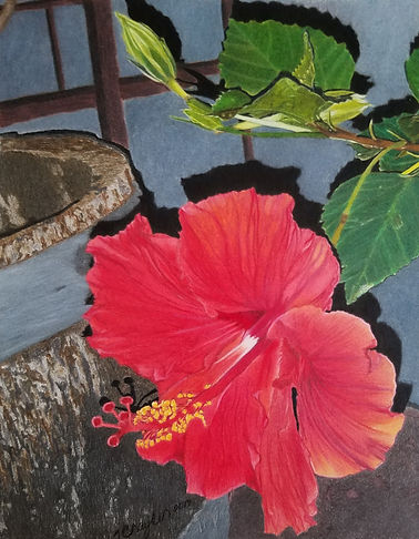 Hibiscus flower in Mixed Media