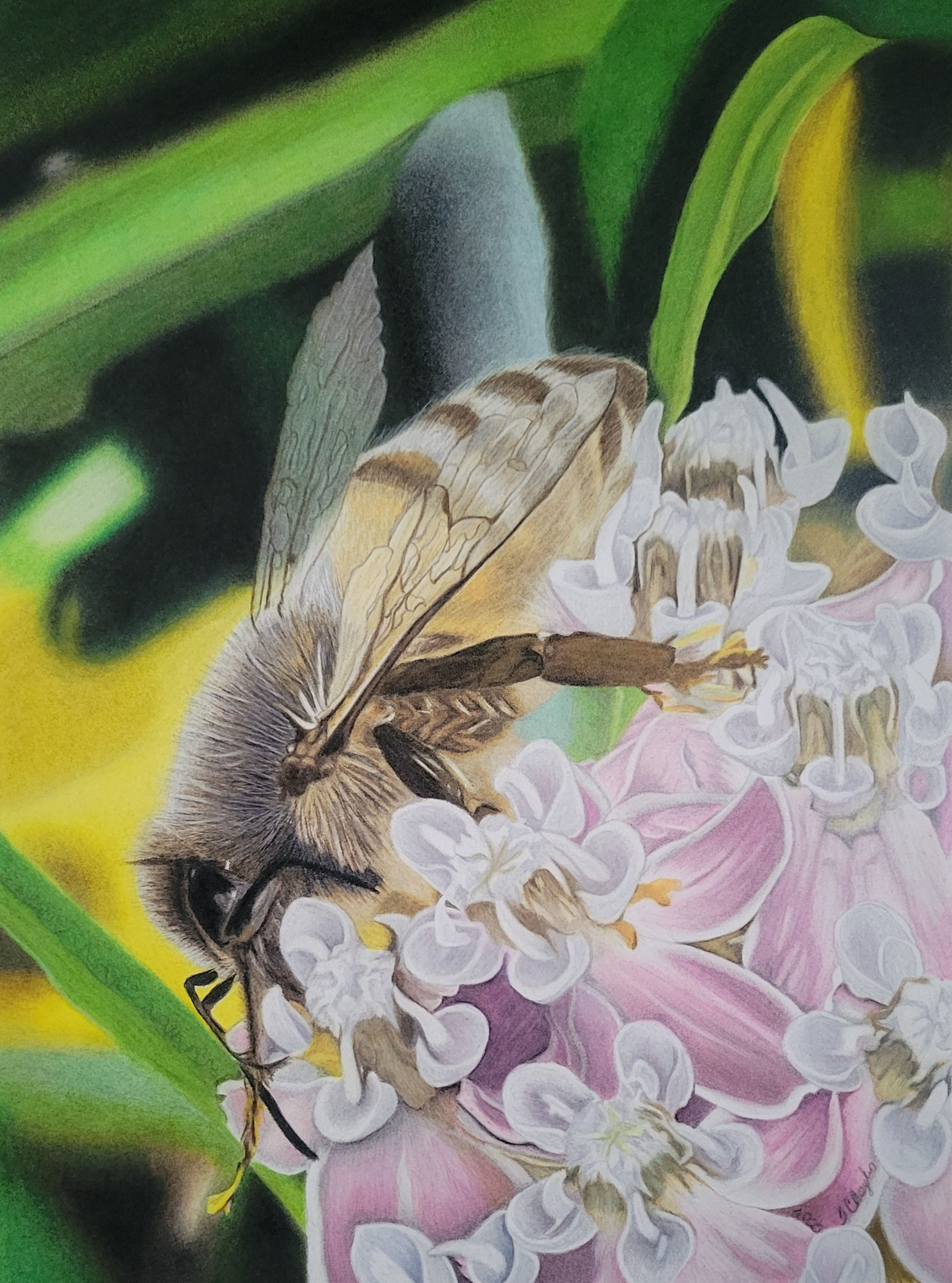 "Harmonious" Art Prints