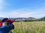 Blu & Schauenburg