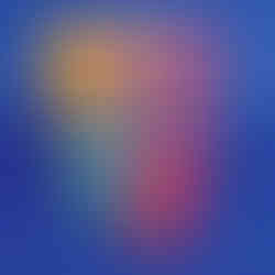 compressedImage (19)
