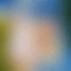 compressedImage (32)