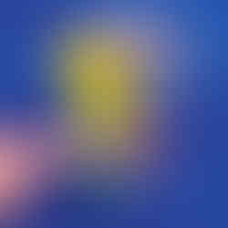 compressedImage (18)