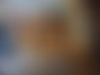 Topsy-Turvy Libraries