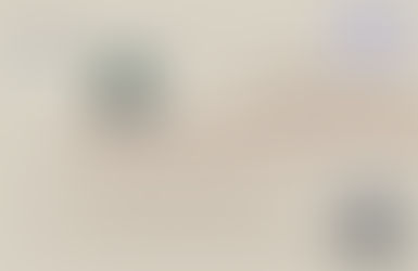 BCPL Book Club Nov. 2025