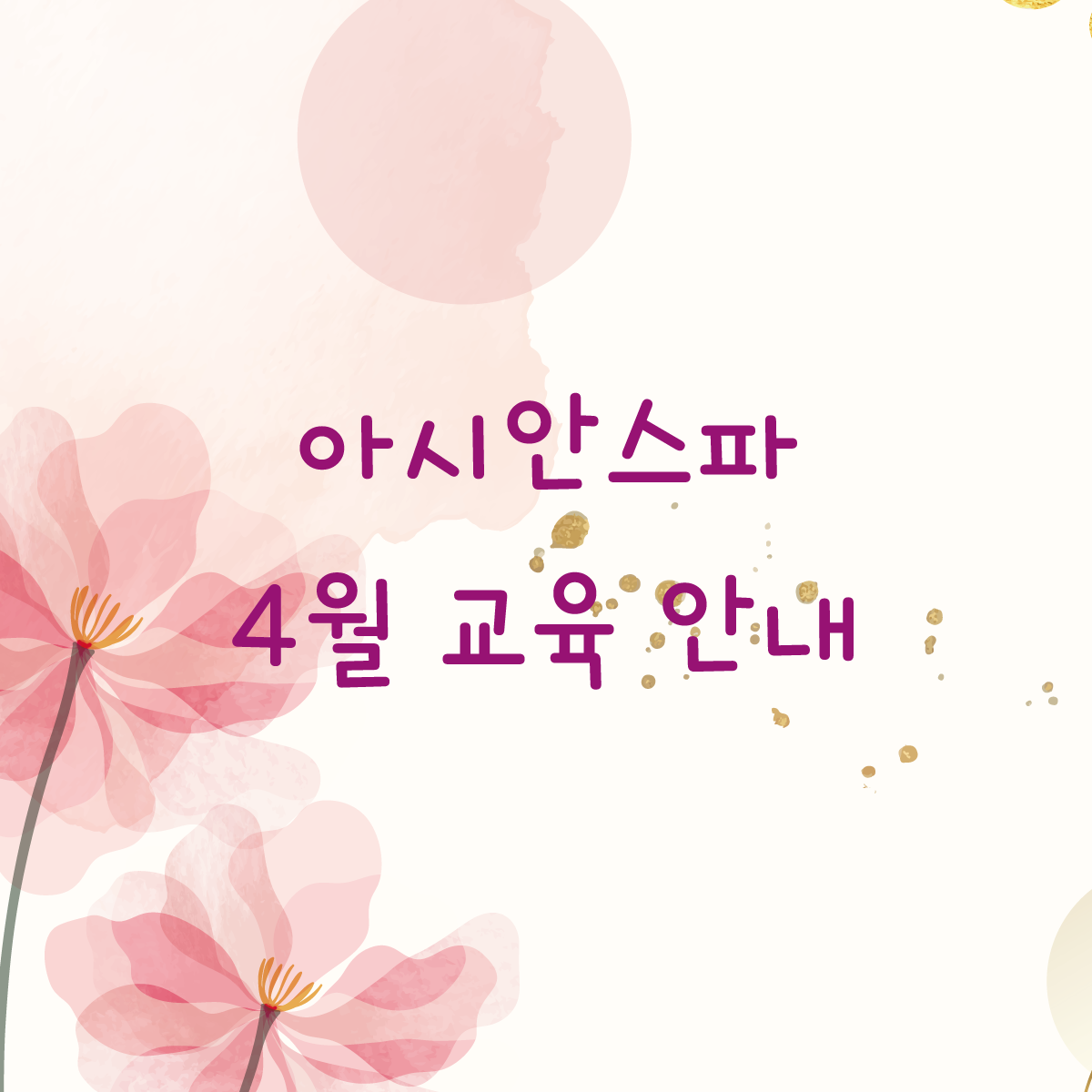 아시안스파 4월 교육 안내 content media