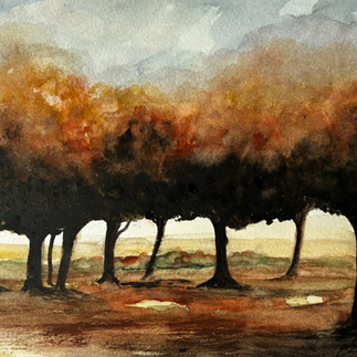 Group Autumn Trees 