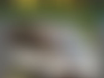 悪夢はここから始まった