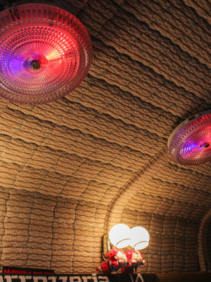 車内に華を添える 粋な室内灯たち