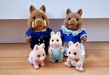 Wild Boar Family