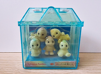 Misty Forest Fairy Elves