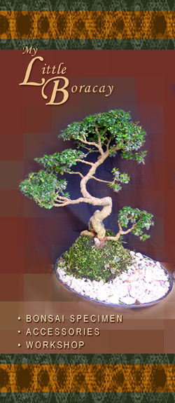 BROCHURE_COVER