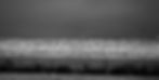 5927AC8A-F3DD-482F-AE5E-08A5AB1C9AC5_edited.jpg