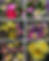 Thumbnail: Bi-Weekly Office Flowers- 6 Designed Floral Arrangements- Delivered Bi-Weekly