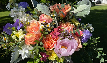 IMG_1835.jpeg