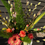 Thumbnail: “Papa’s Peony Picks” Large Wrapped Bouquet for Pick Up in Hudsonville & GR