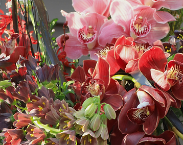 This is - 2026-04-14T212504.909.png