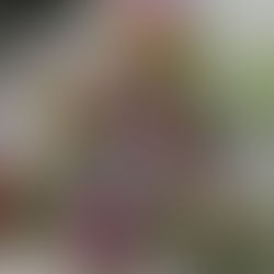 West Michigan Office Subscriptions