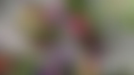 West Michigan Office Subscriptions